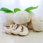 mushroom tart recipe