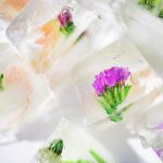 Uses for ice trays